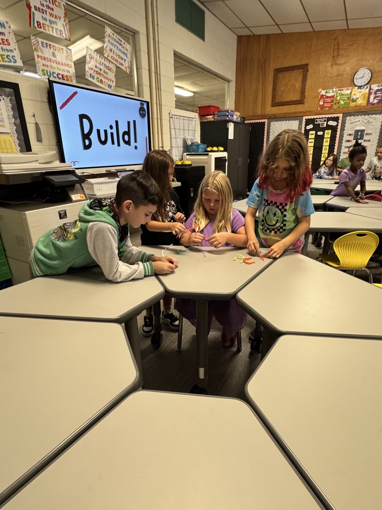 STEM Activity