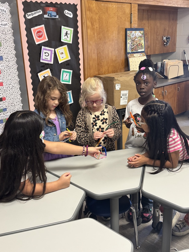 STEM Activity