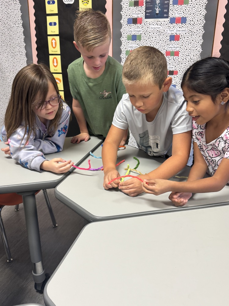 STEM Activity