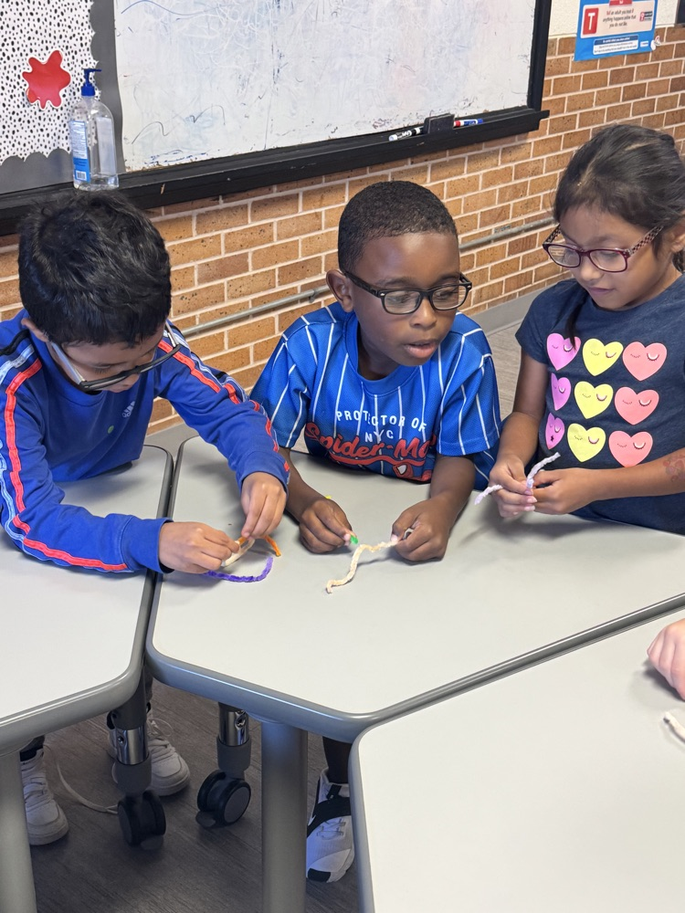 STEM Activity