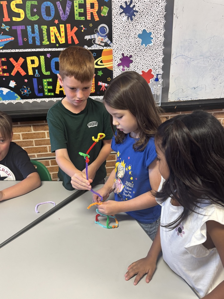 STEM Activity