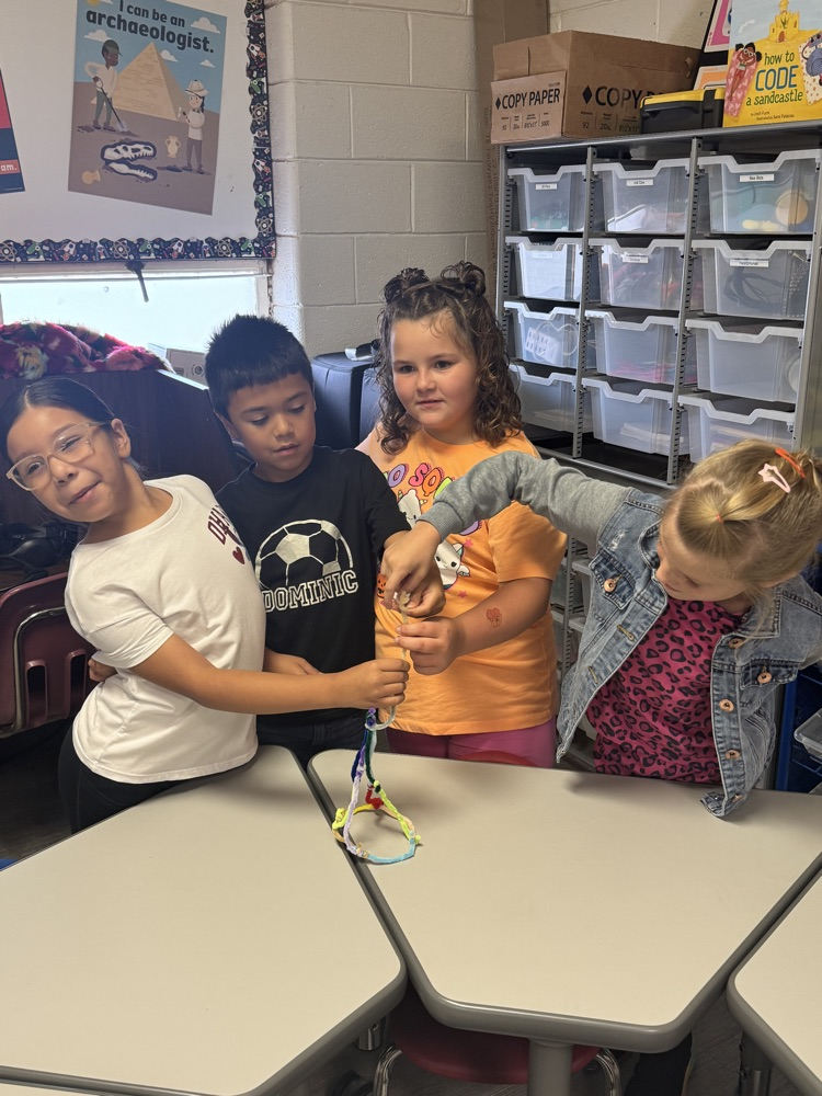 STEM Activity