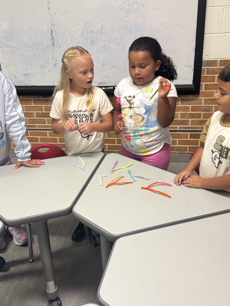 STEM Activity