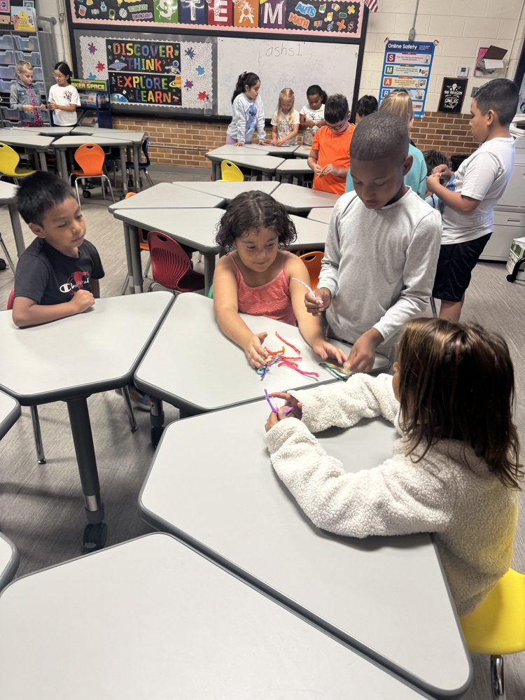 STEM Activity