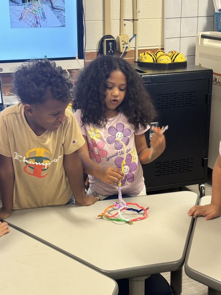 STEM Activity