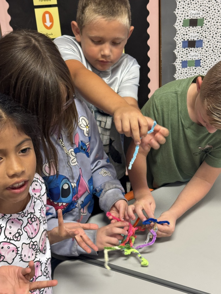 STEM Activity