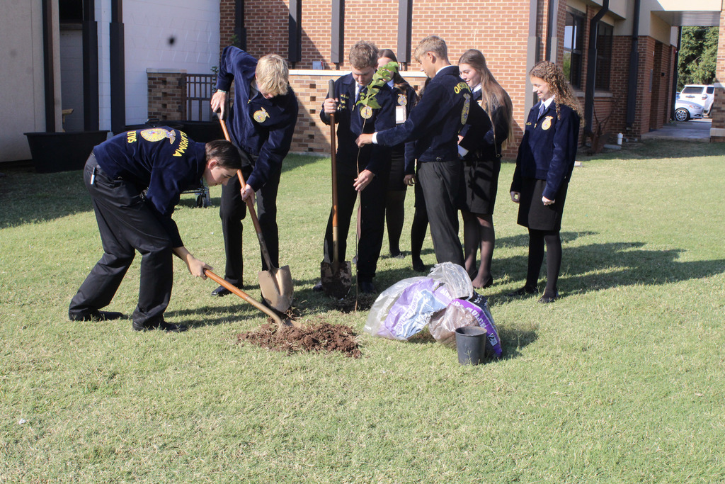 Tree Planting