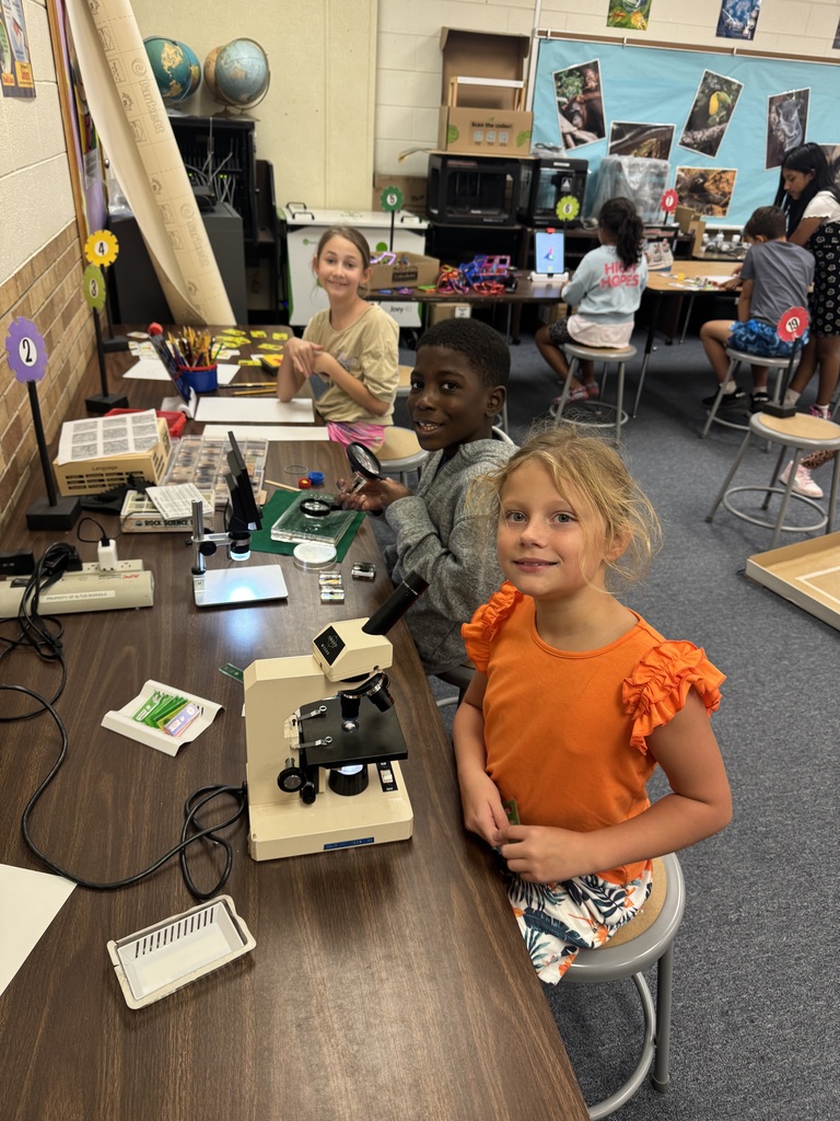 students engaging in STEM activities