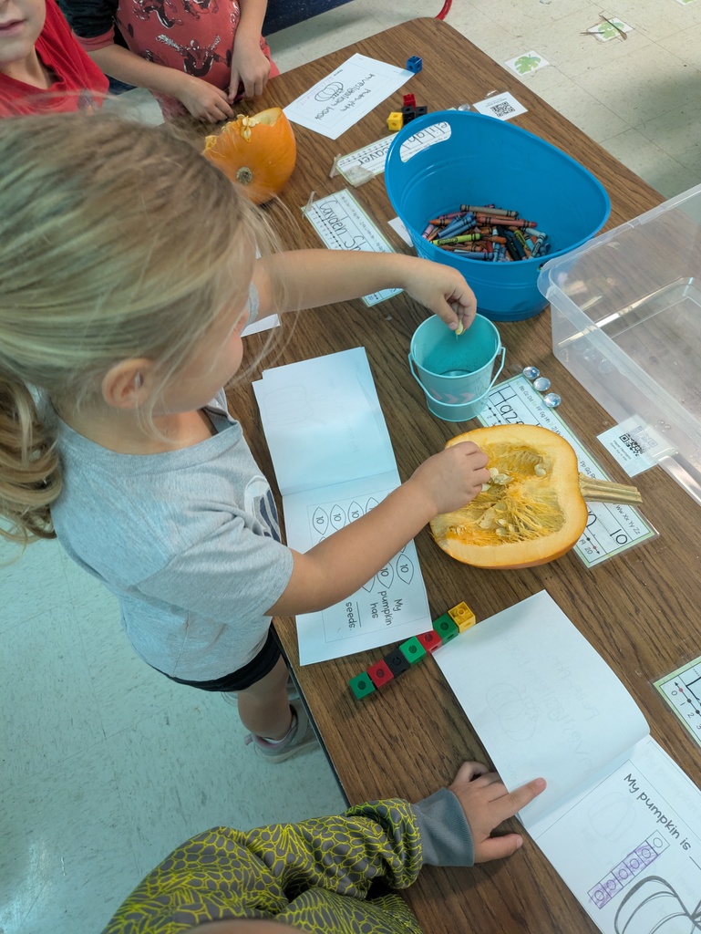 students working with pumpkins