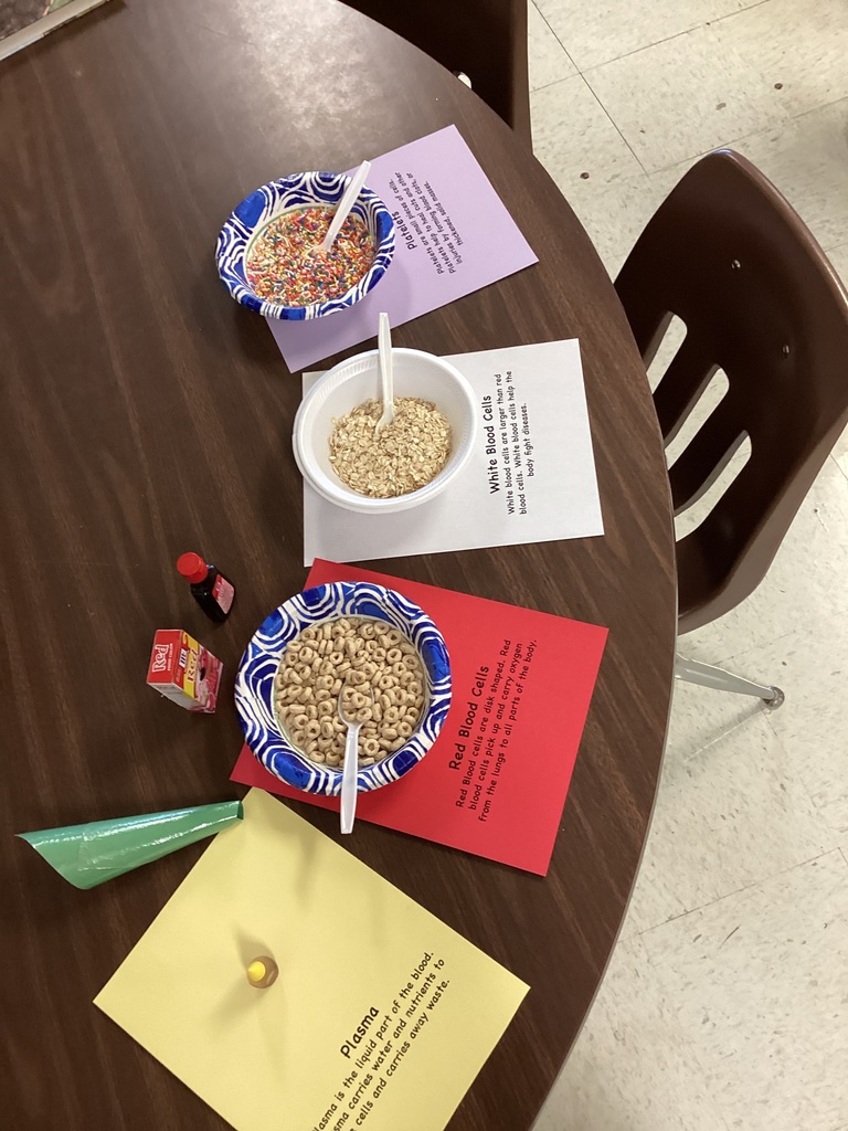 Students doing experiments.