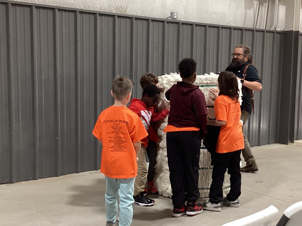 students looking at cotton