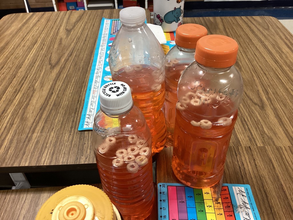 students learning about body systems