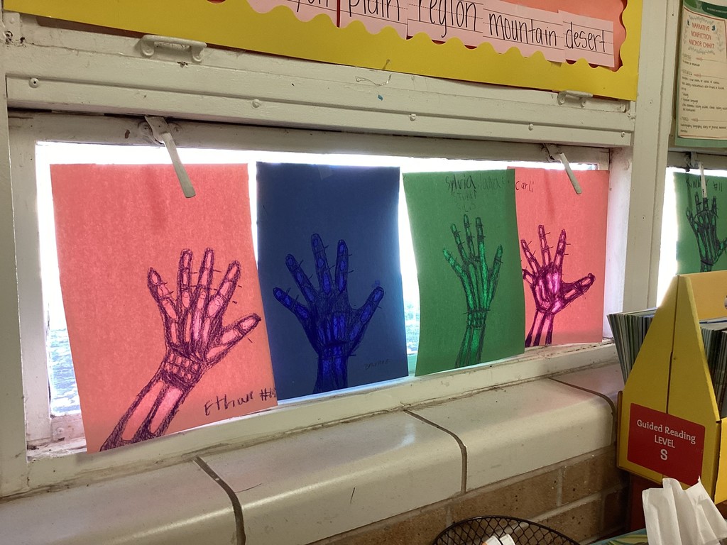 students learning about body systems