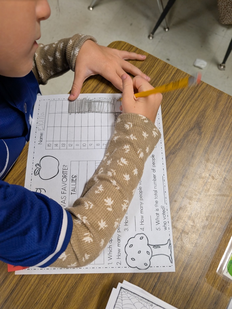 Students graphing math