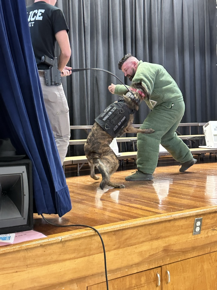 K9 Demonstration