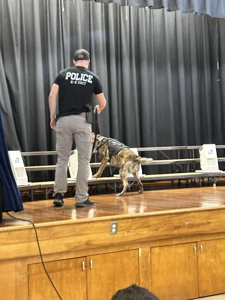 K9 Demonstration