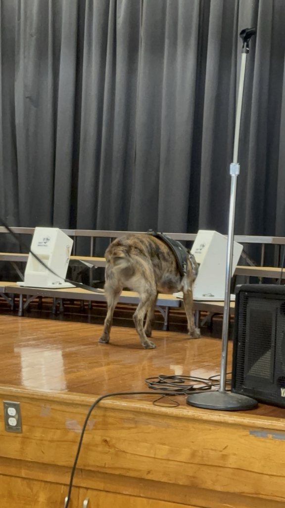 K9 Demonstration