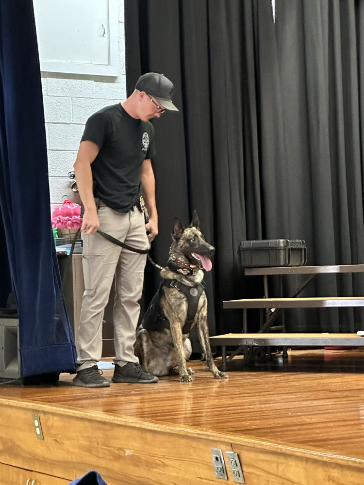 K9 Demonstration