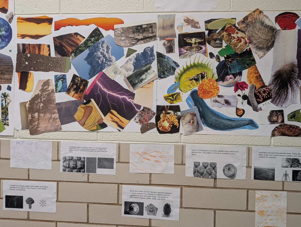 students work displayed on the wall