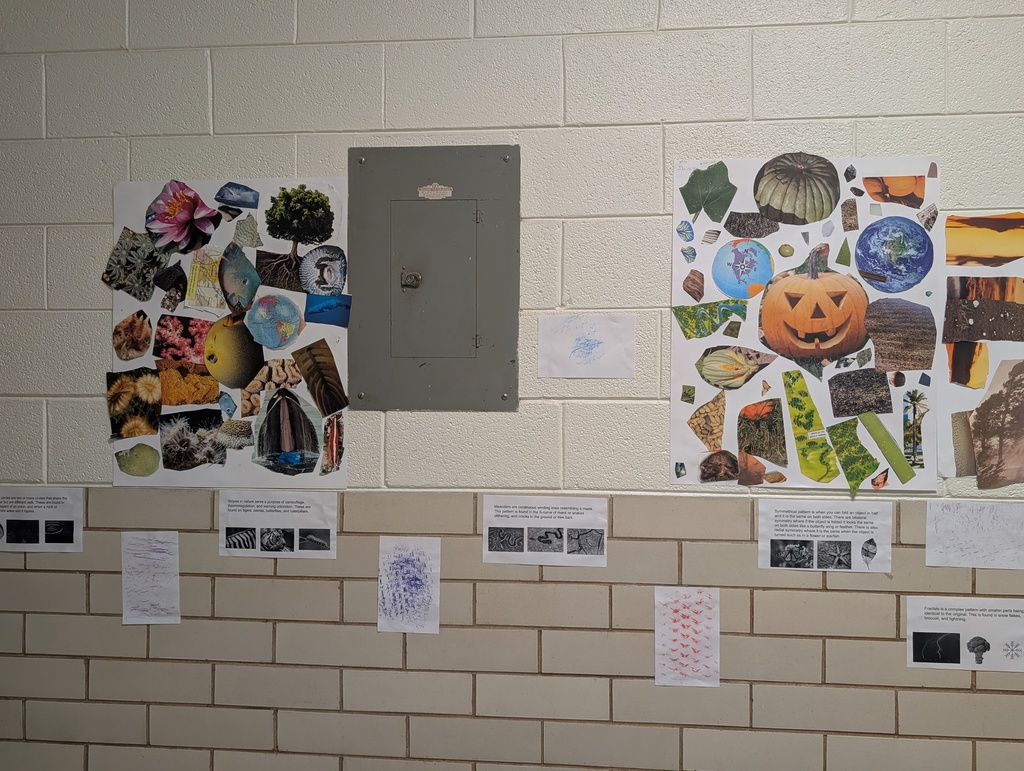 students work displayed on the wall