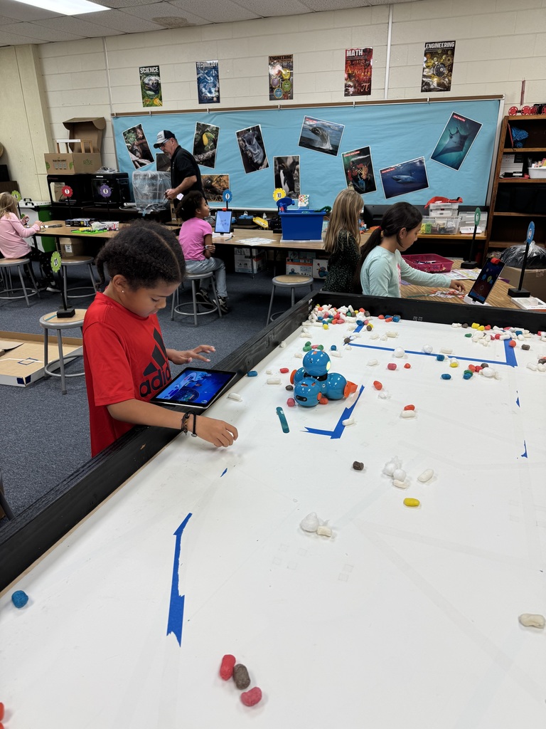 Students engaged in STEM.