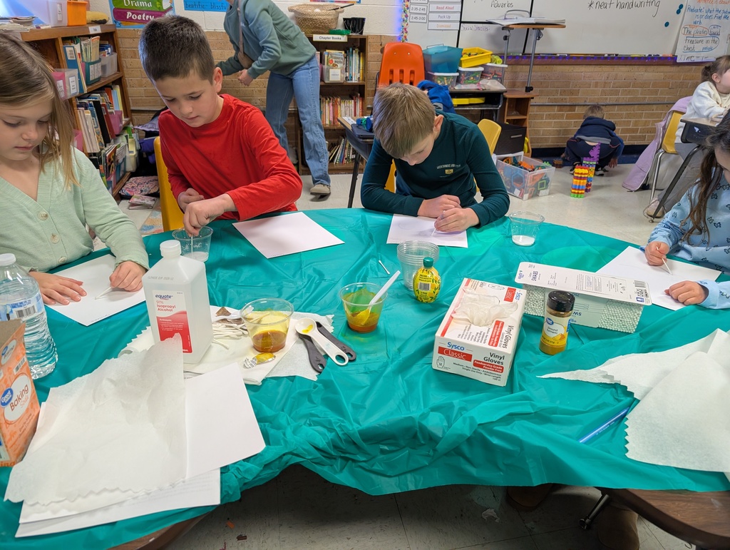 Students doing STEAM