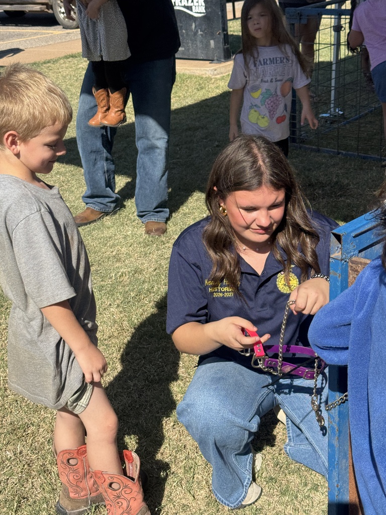 What is a halter?