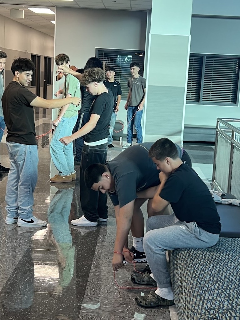 Auto Students