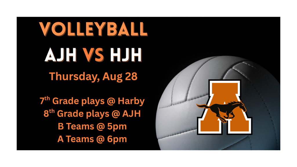 volleyball game