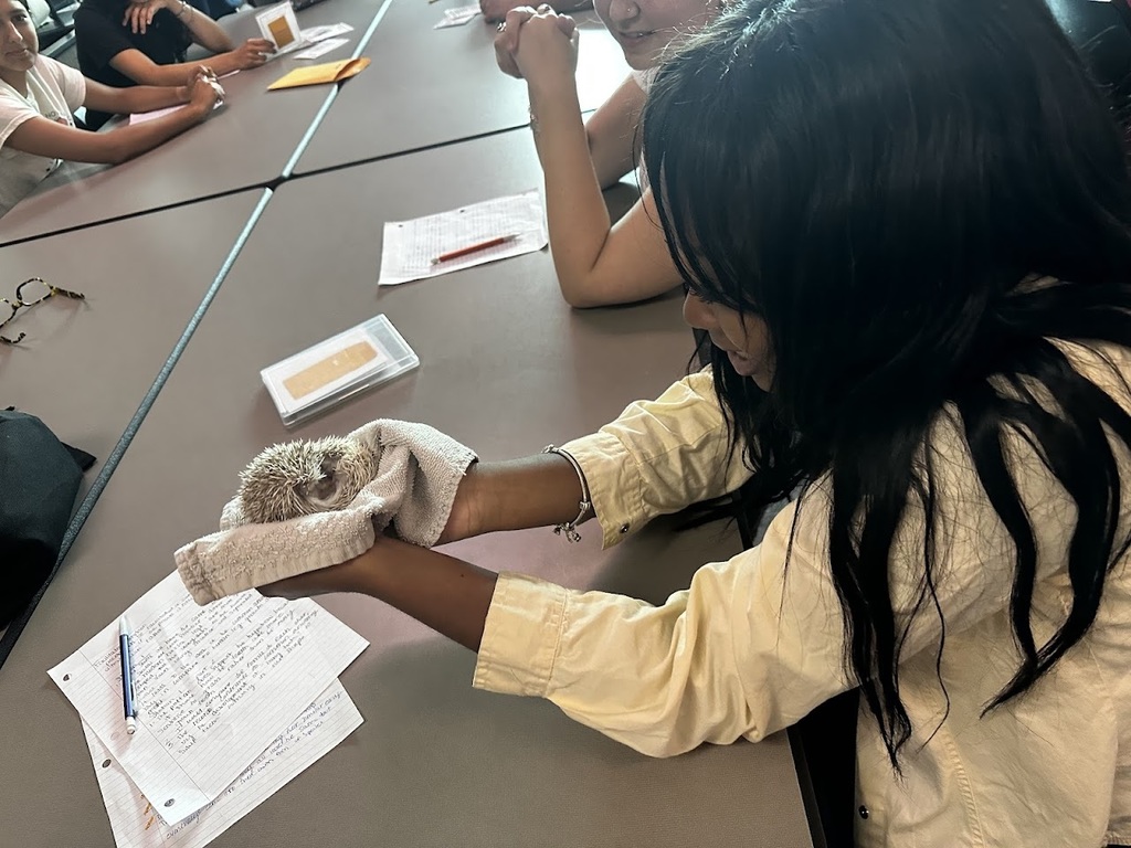 Student holding hedge hog