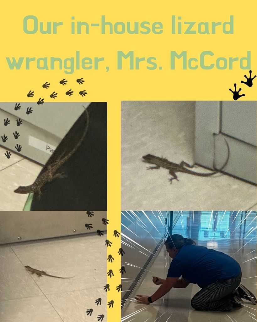 McCOrd