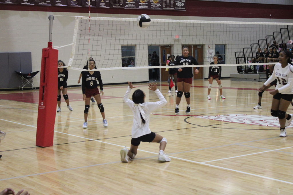 Volleyball