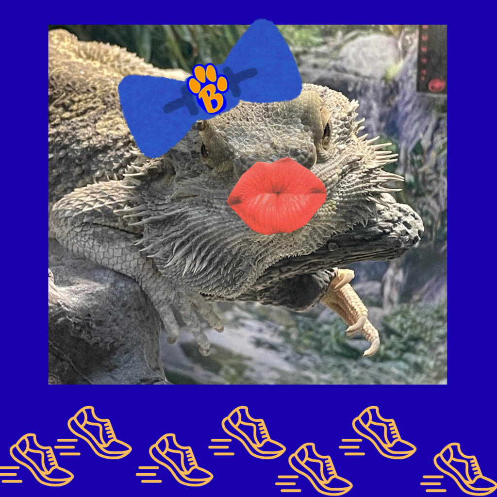 Pucker UP