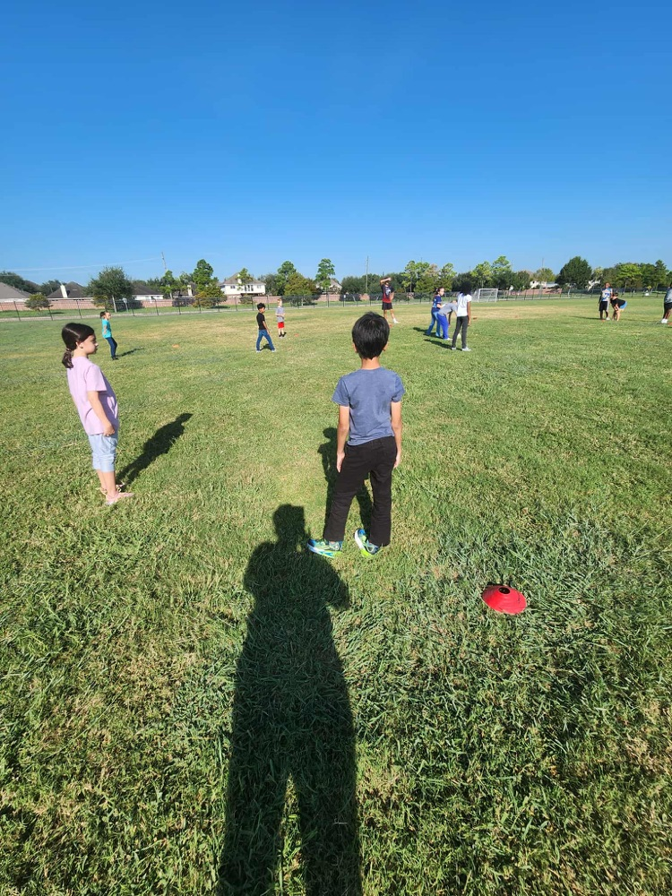 Rugby Fun