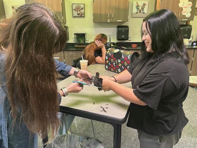Students clipping chicken wings