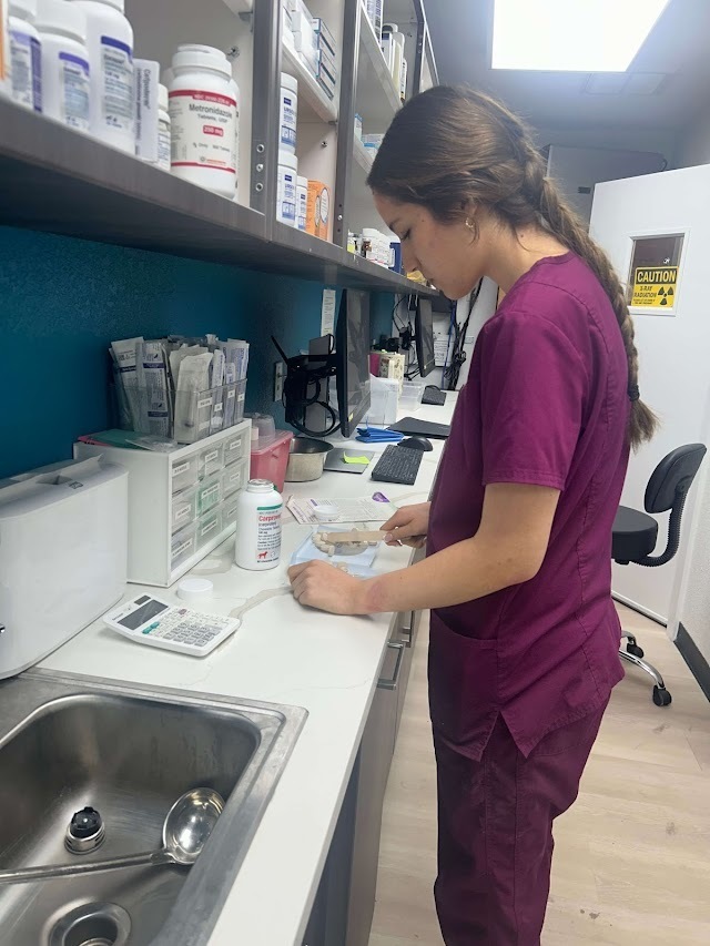 Vet students working at vet clinic