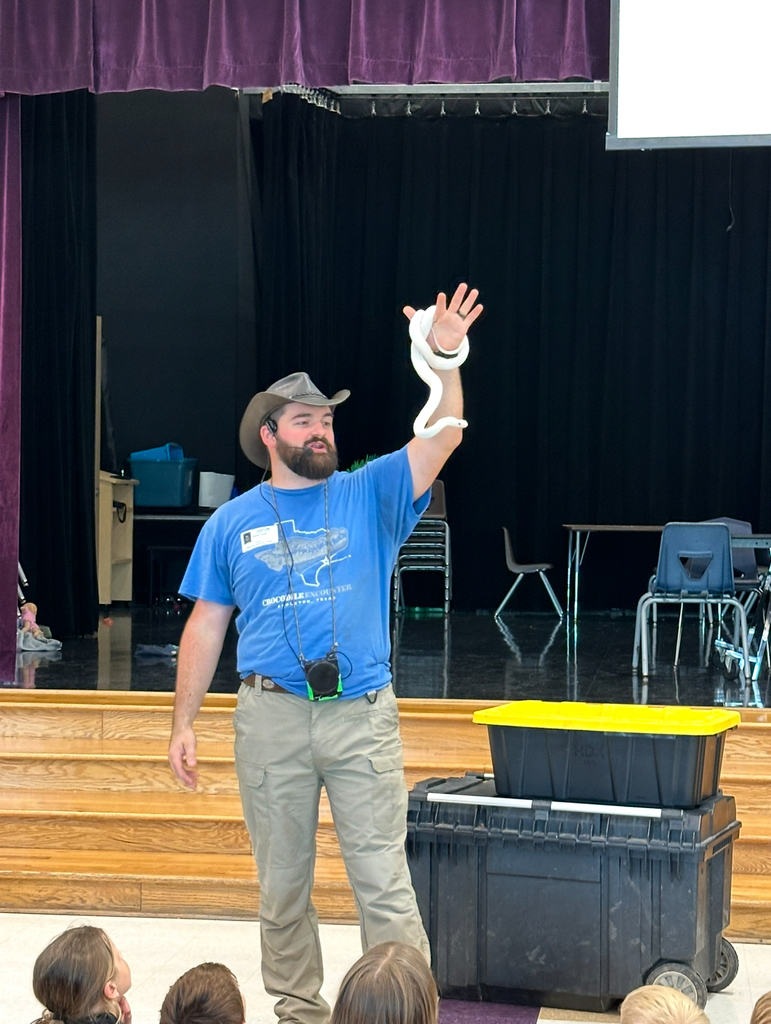 Reptile Presentation Pics
