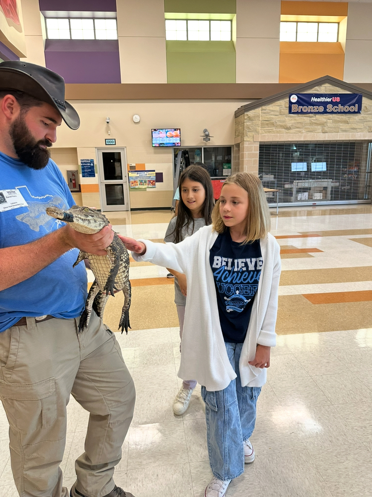 Reptile Presentation Pics