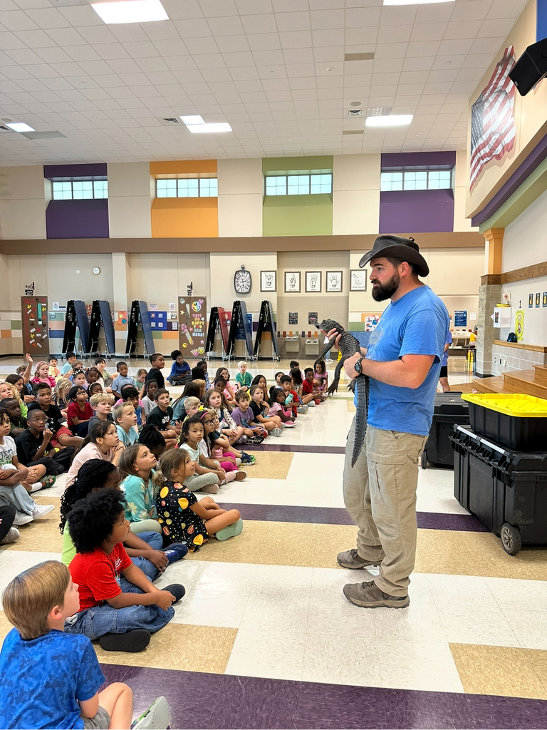 Reptile Presentation Pics