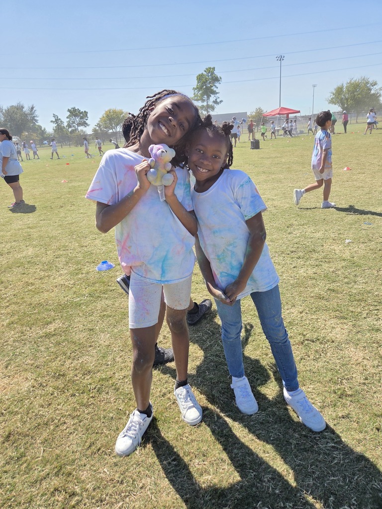 Color Run Pictures
