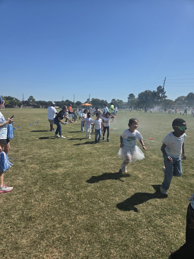 Color Run Pictures