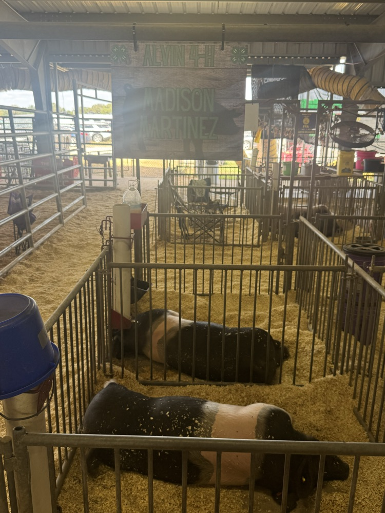 BCFA