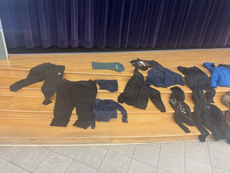 Do these belong to your child ?