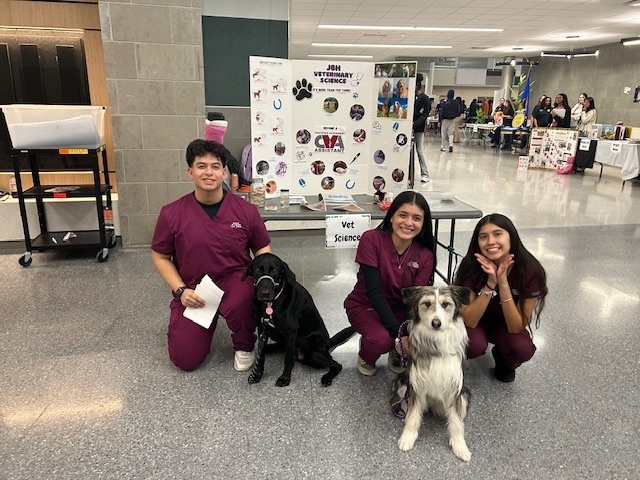 Elective fair with Vet Students