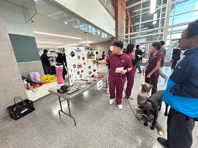 Elective fair with Vet Students