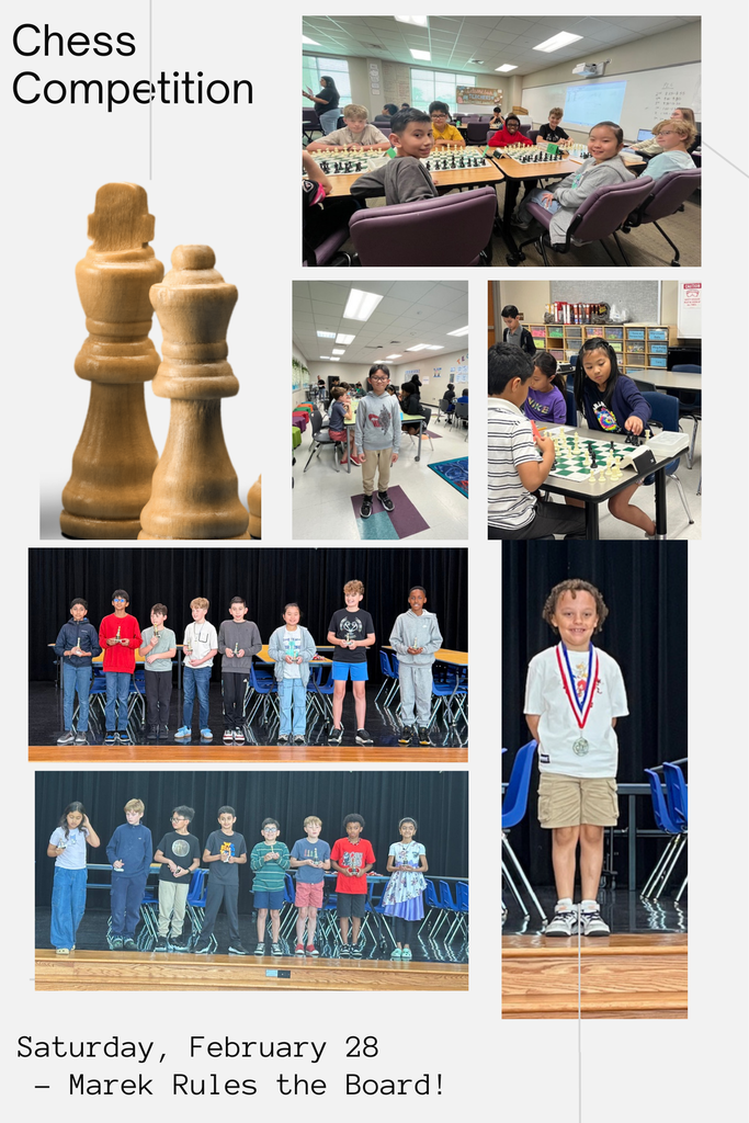 photos from  chess tournament