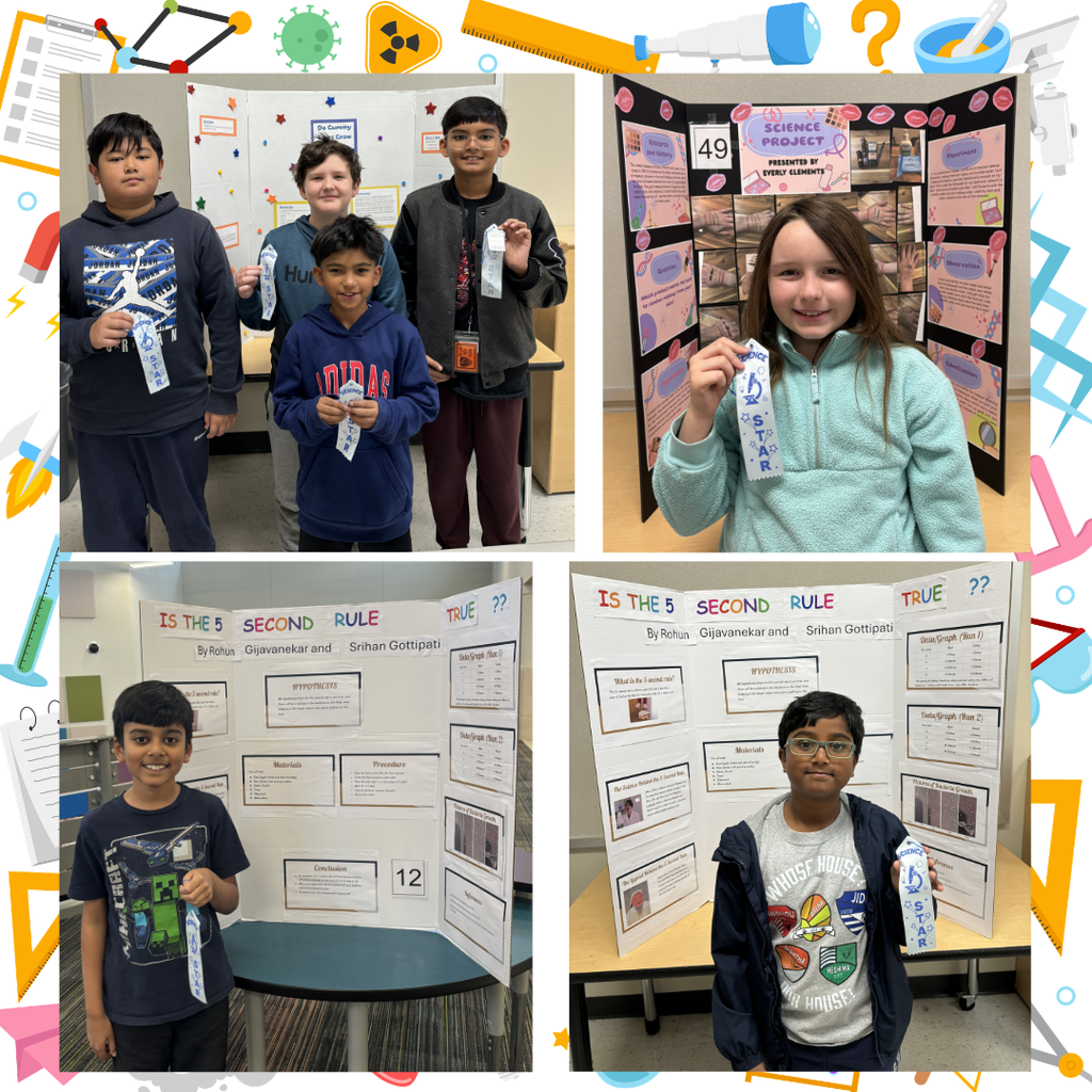 SBE Science Fair winners