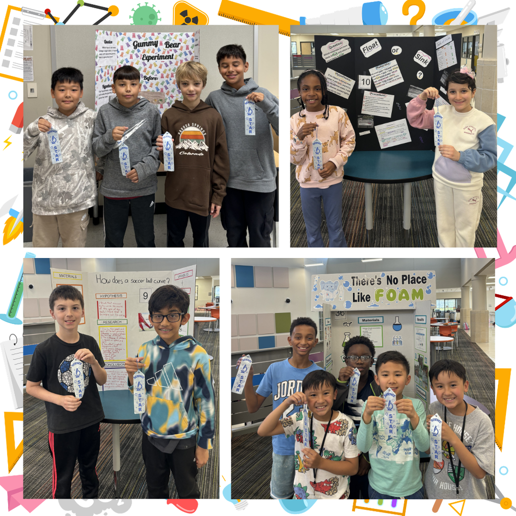 SBE Science Fair winners