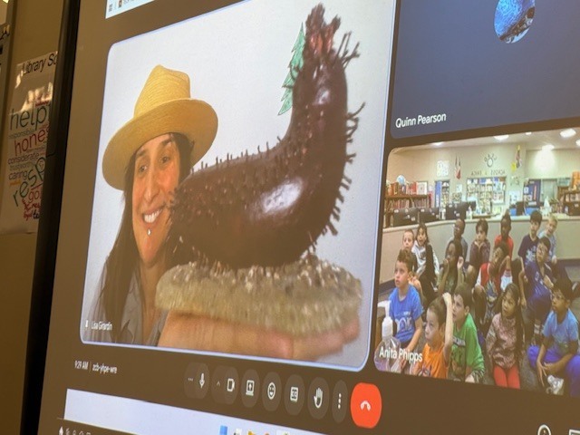 Acadia National Park Ranger