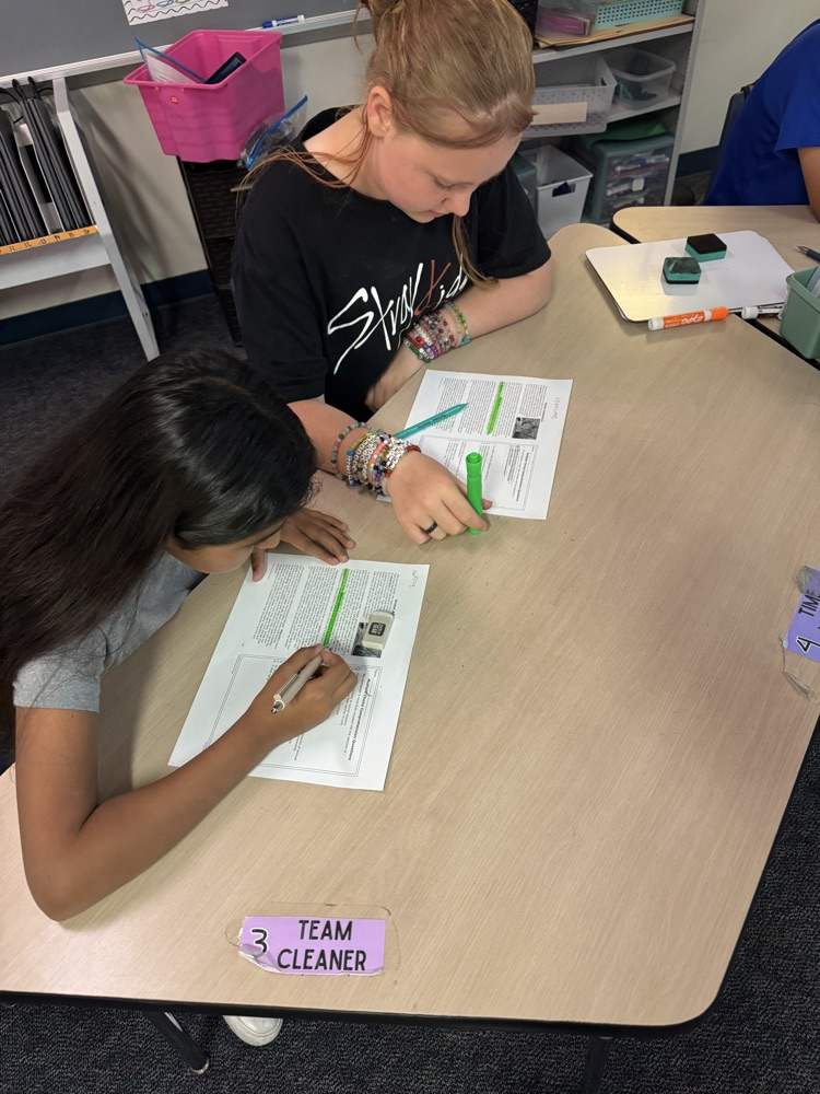 peer tutor